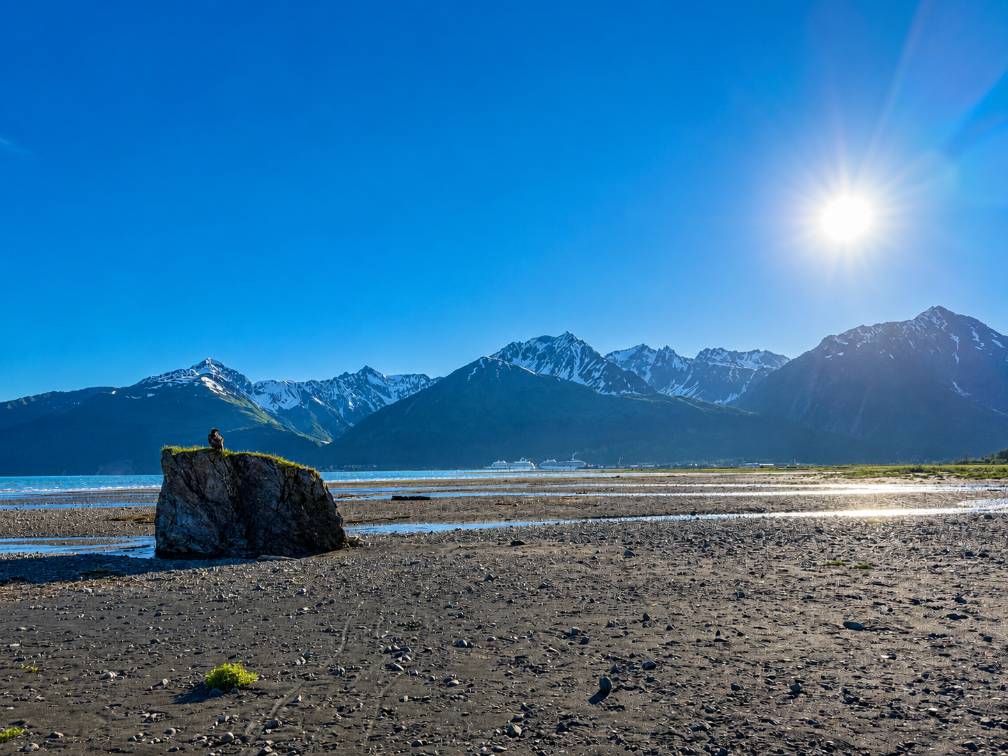 An eagle overlooking Resurrection Bay, cruise ships, and the mountains near Resurrection Spa in Seward