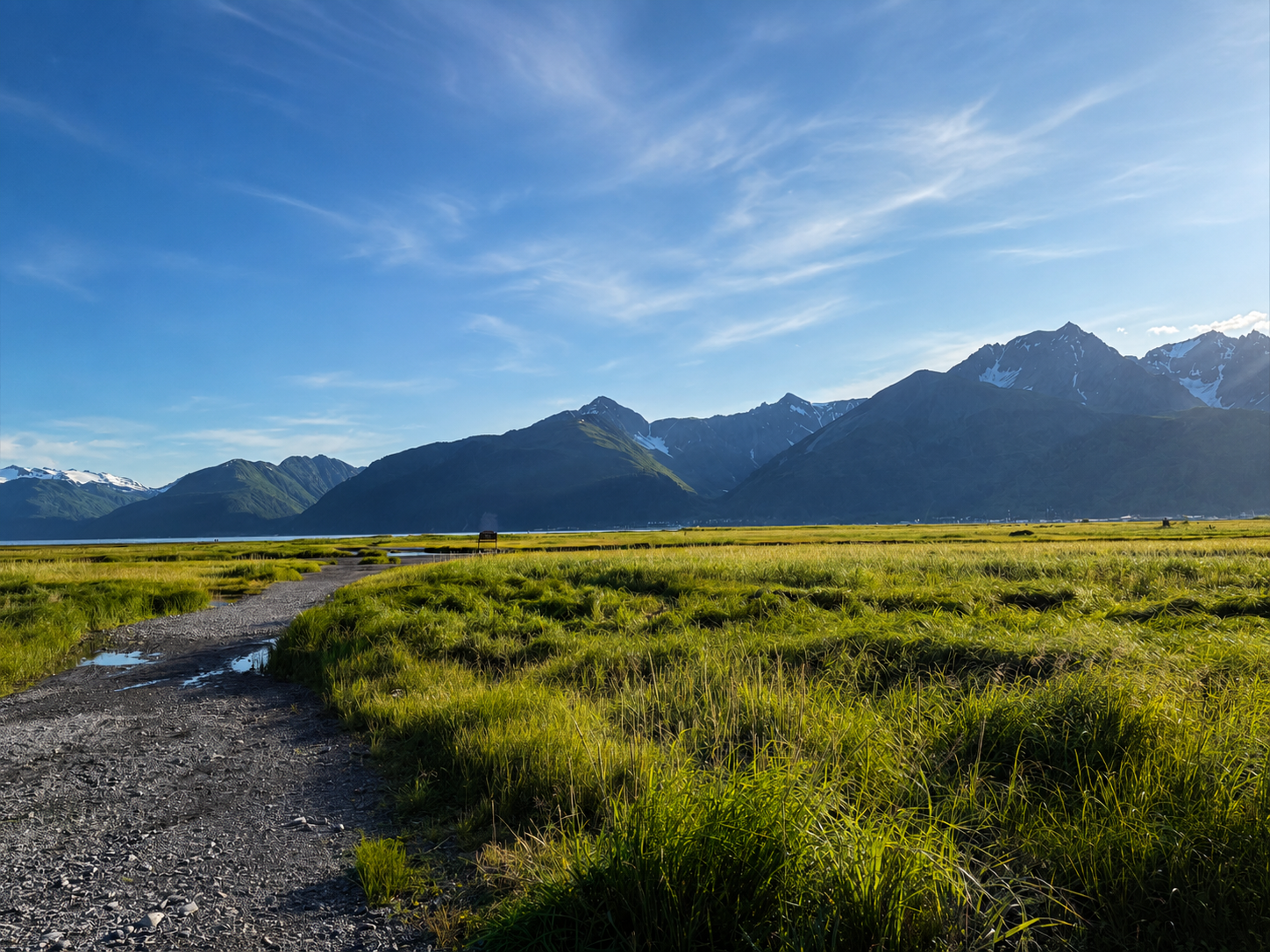 Sunlit field and mountain view near Resurrection Spa in Seward